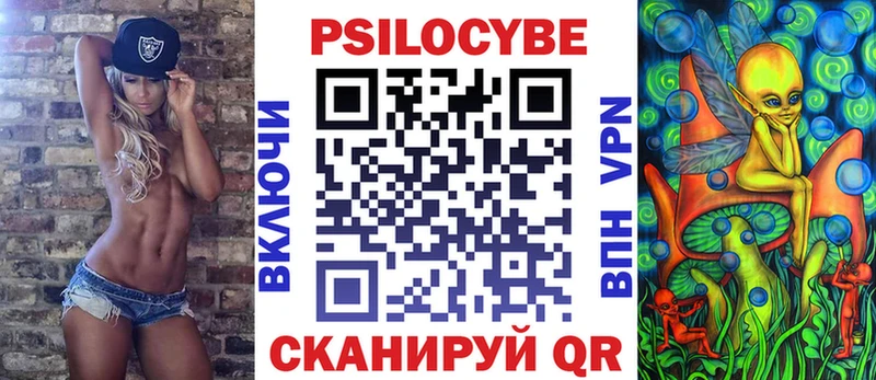 blacksprut как зайти  Будённовск  Псилоцибиновые грибы мицелий 